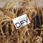 Common mistakes to avoid when starting a print on demand shop